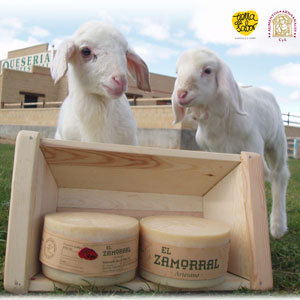 Queso artesano El Zamorral